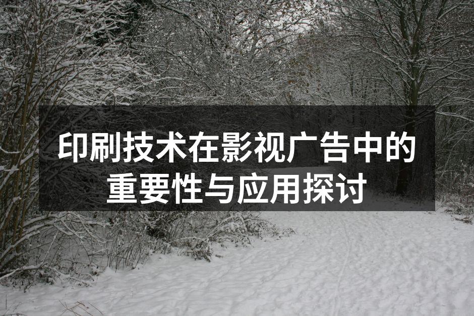 影视广告印刷海报示例